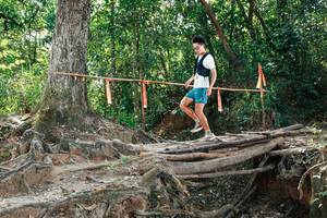 BIB: 
                            <button type="button" onclick="openModal(27802018)" class="btn btn-primary btn-sm float-right btn-popup" data-toggle="modal" data-target=".modal-high-quality">
                        <i class="fas fa-shopping-cart"></i> Add to Cart
                    </button>
                                            <button type="button" onclick="isThisMe(27802018, true)" class="btn btn-success btn-sm float-right btn-popup btn-isme hidden" data-toggle="tooltip" data-placement="bottom" title="นี่คือรูปของคุณใช่ไหม คลิกที่นี่เพื่อเอาเข้าอัลบั้ม">
                        <i class="fas fa-plus"></i> Add to album
                    </button>
                    <button type="button" onclick="isThisMe(27802018, false)" class="btn btn-warning btn-sm float-right btn-popup btn-isnotme hidden">
                        <i class="fas fa-ban"></i> Remove from album
                    </button>